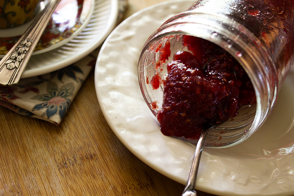 Rurification Robin Edmundson Autumn Olive [Elaeagnus umbellata] Jam