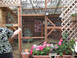 chicken coop tour bend oregon 3