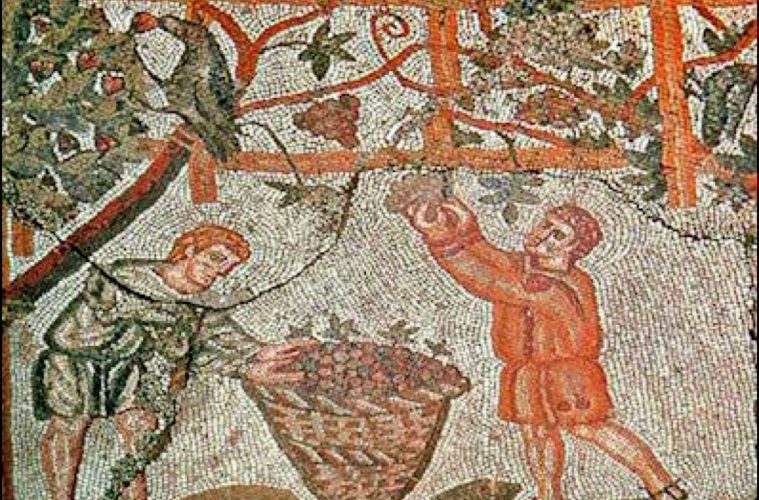 La Storia Del Vino In Breve La Storia del Vino in breve - Wine Blog Roll - Il Blog del Vino Italiano