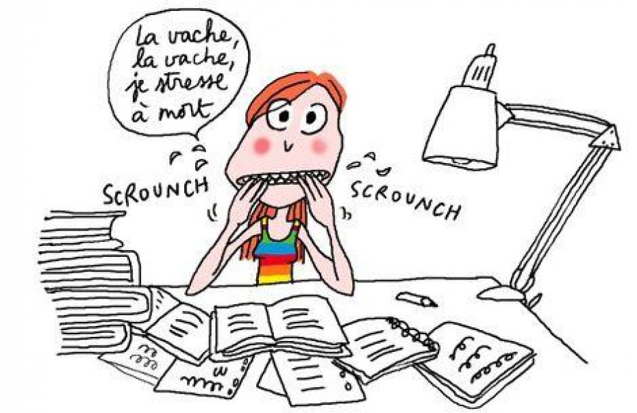 Le blog de Chloé Conseils aux futurs bacheliers