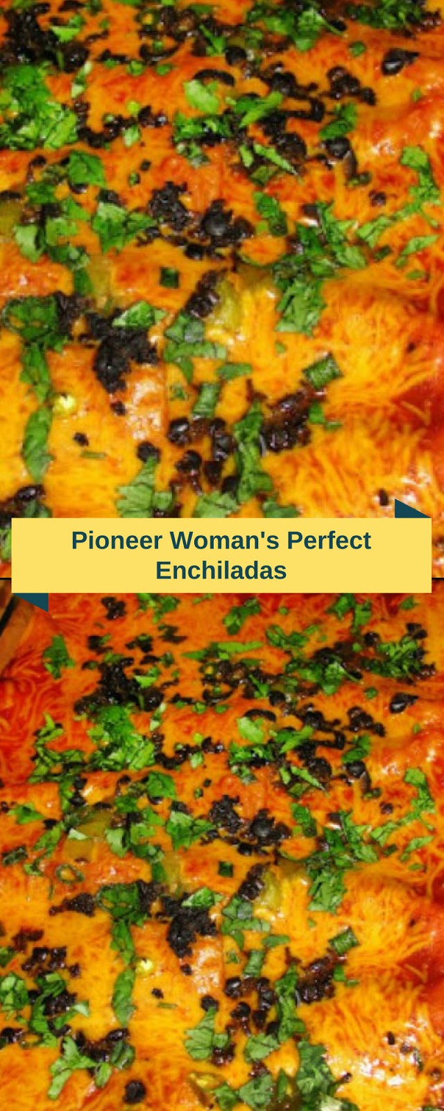 Pioneer Woman's Perfect Enchiladas | Mariana Kitchen