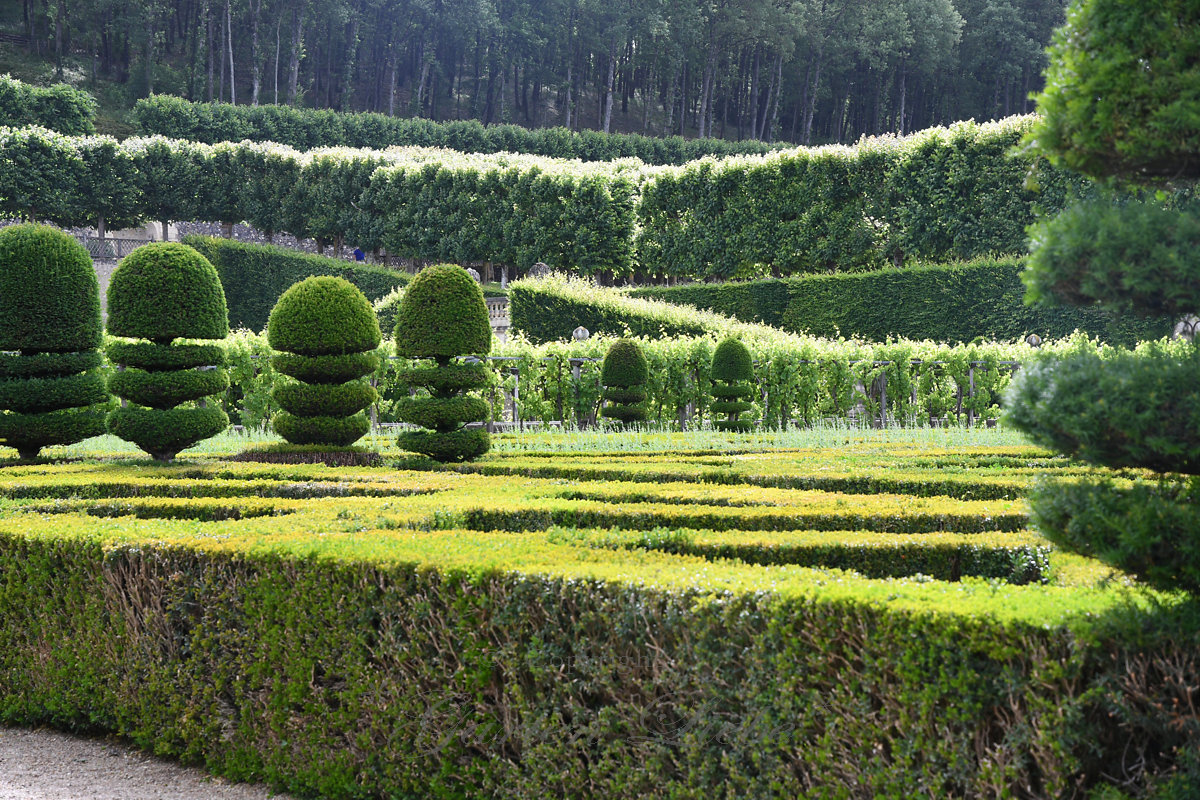*GartenLiebe* besuch im.....Schloss Villandry F