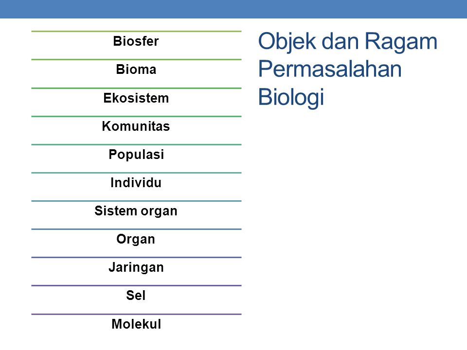 Contoh Masalah Biologi Pada Berbagai Tingkat Organisasi ...