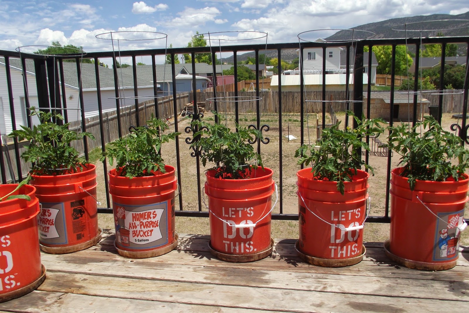 Little Chuck's Selfsufficiency, Recycling, and Bargain Living