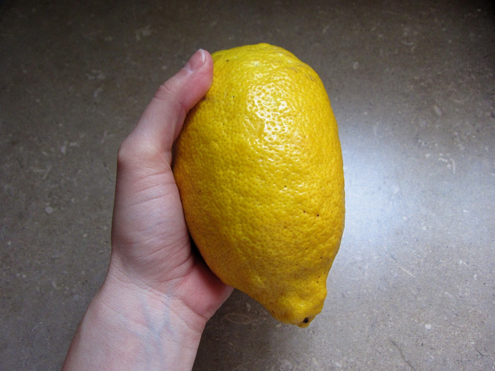 The Saucy Kitchen If life gives you (giant) lemons...