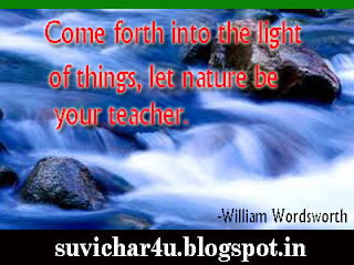Come forth into the light of things, let nature be your teacher.