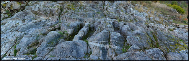 XOAN ARCO DA VELLA MECRÓPOLIS DE SAN VICTOR BARXACOVA