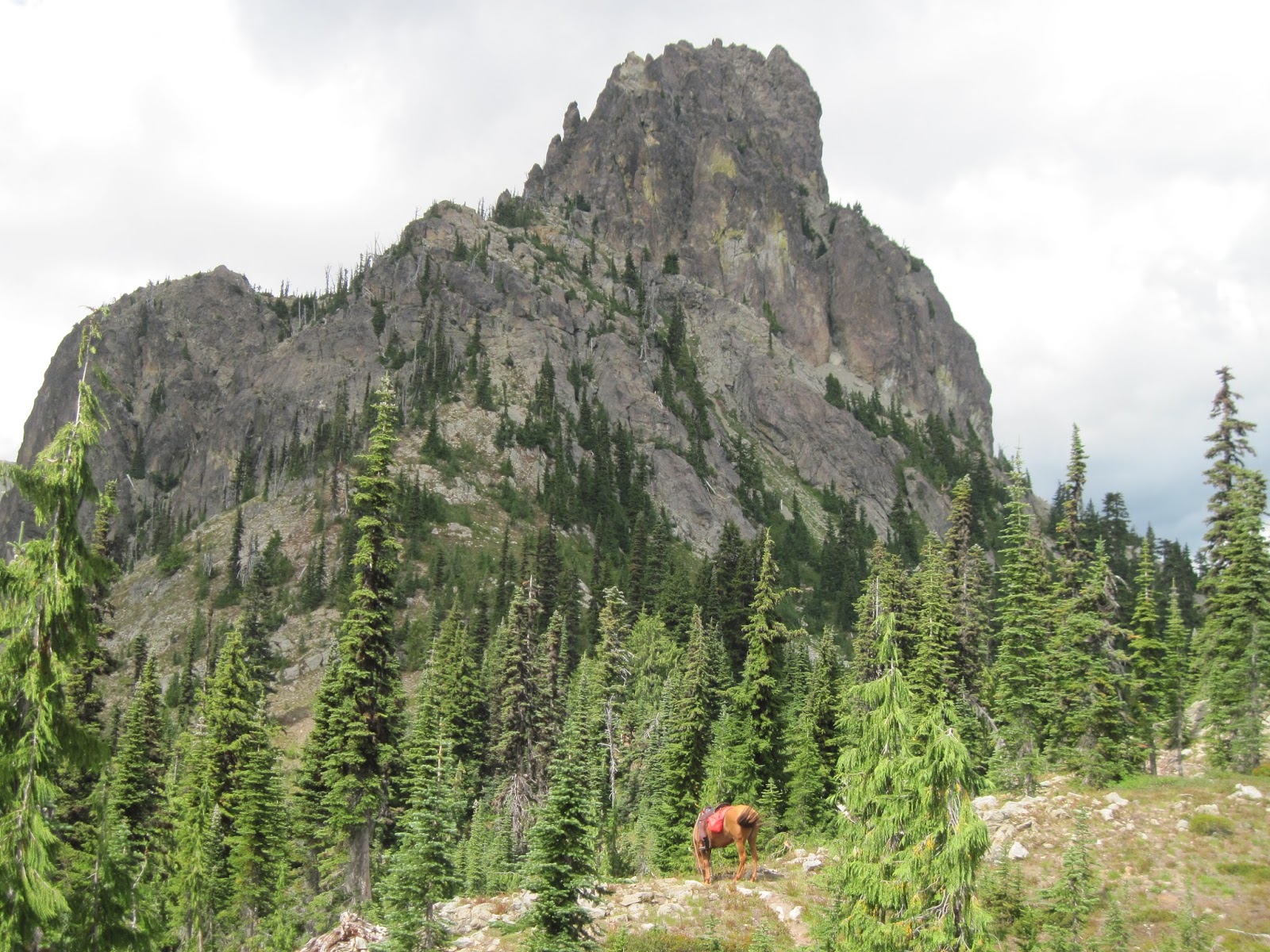 Holly's Horse Tales and Trails: Cayuse Horse Camp, Tucquala Meadows ...