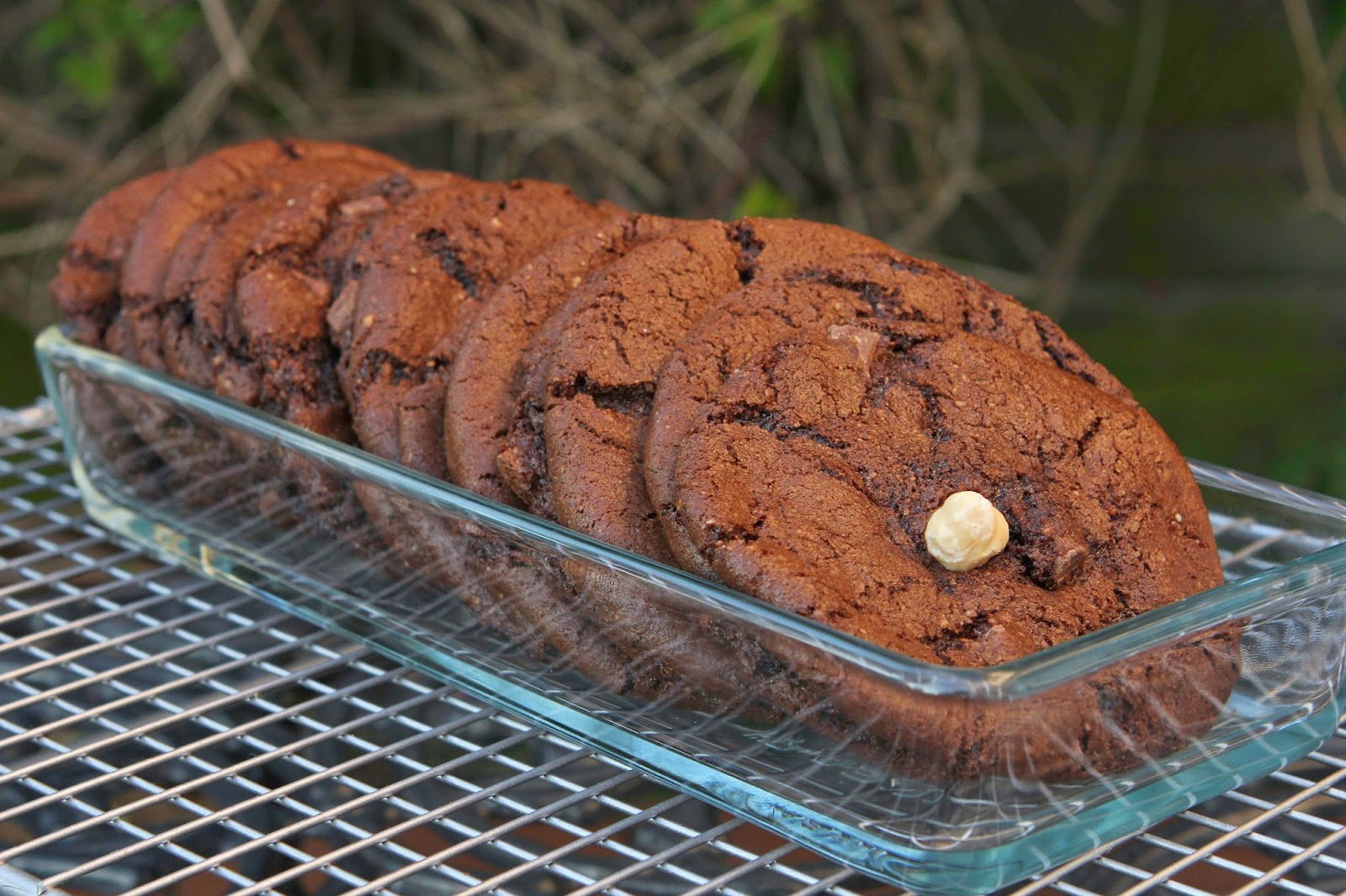 Gluten Free Alchemist Chocolate & Hazelnut Butter Cookies gluten