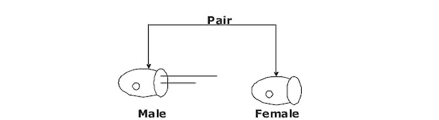 Internal And External Component part 2 (SMPS ,Connector,Speaker)