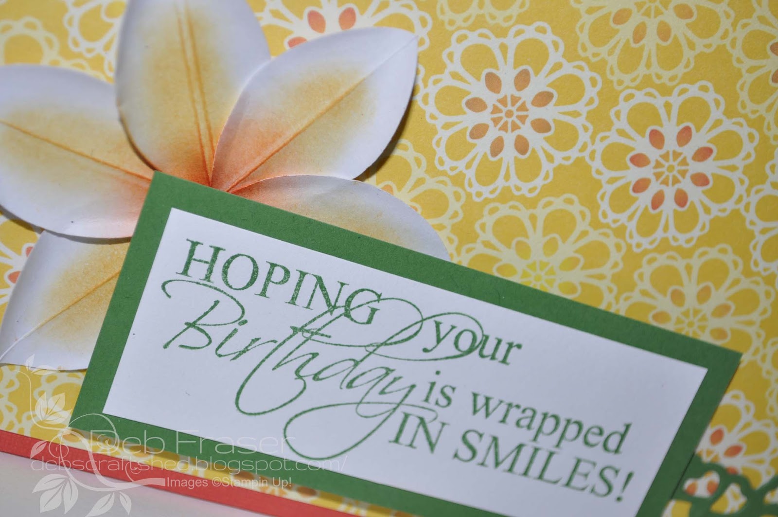 Frangipani Birthday Box