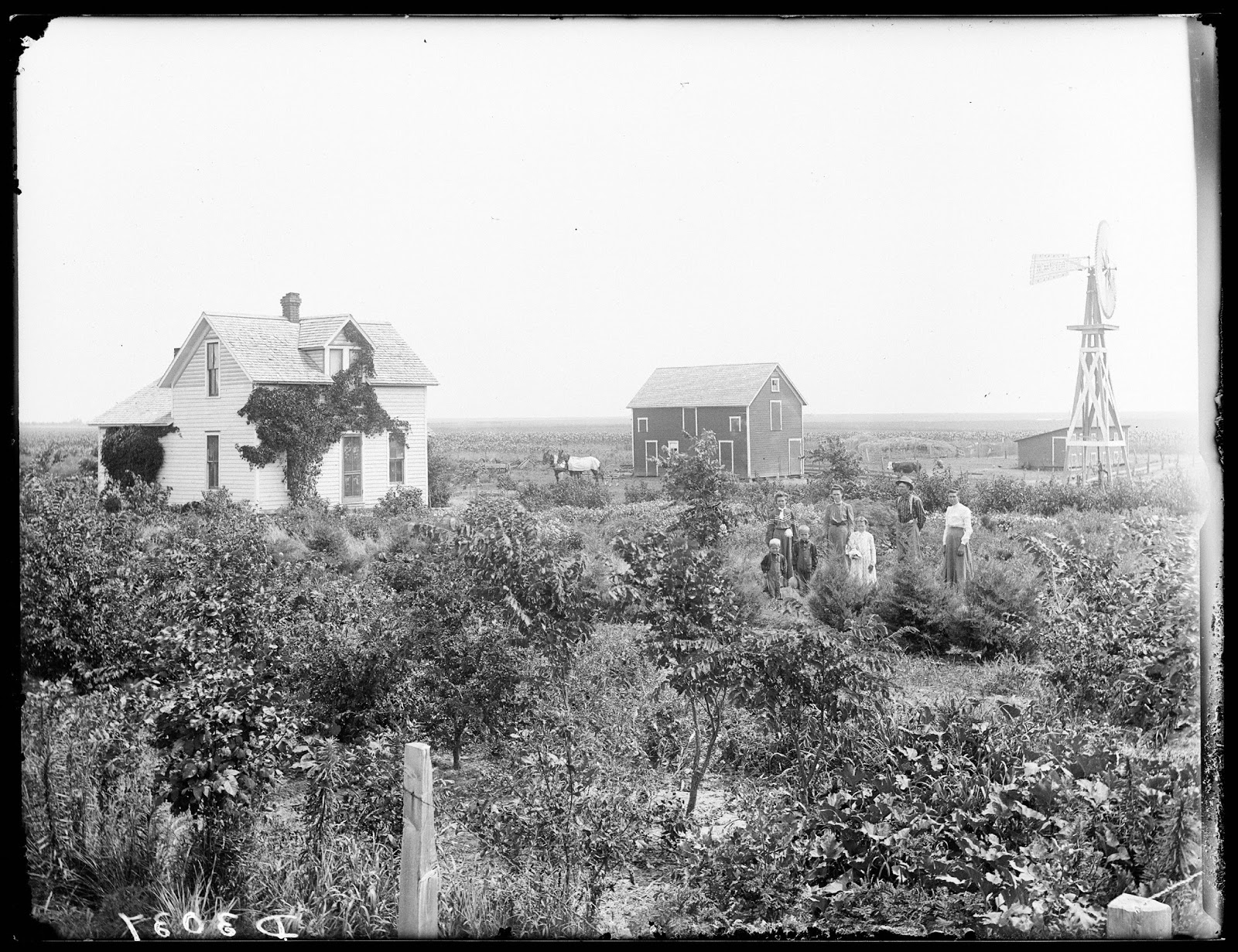 nebraska farmer archives nebraska farmer archives