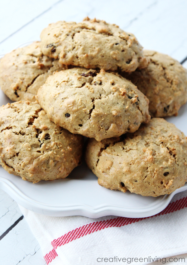 Gluten Free Oatmeal Raisin Protein Cookie Creative Green Living