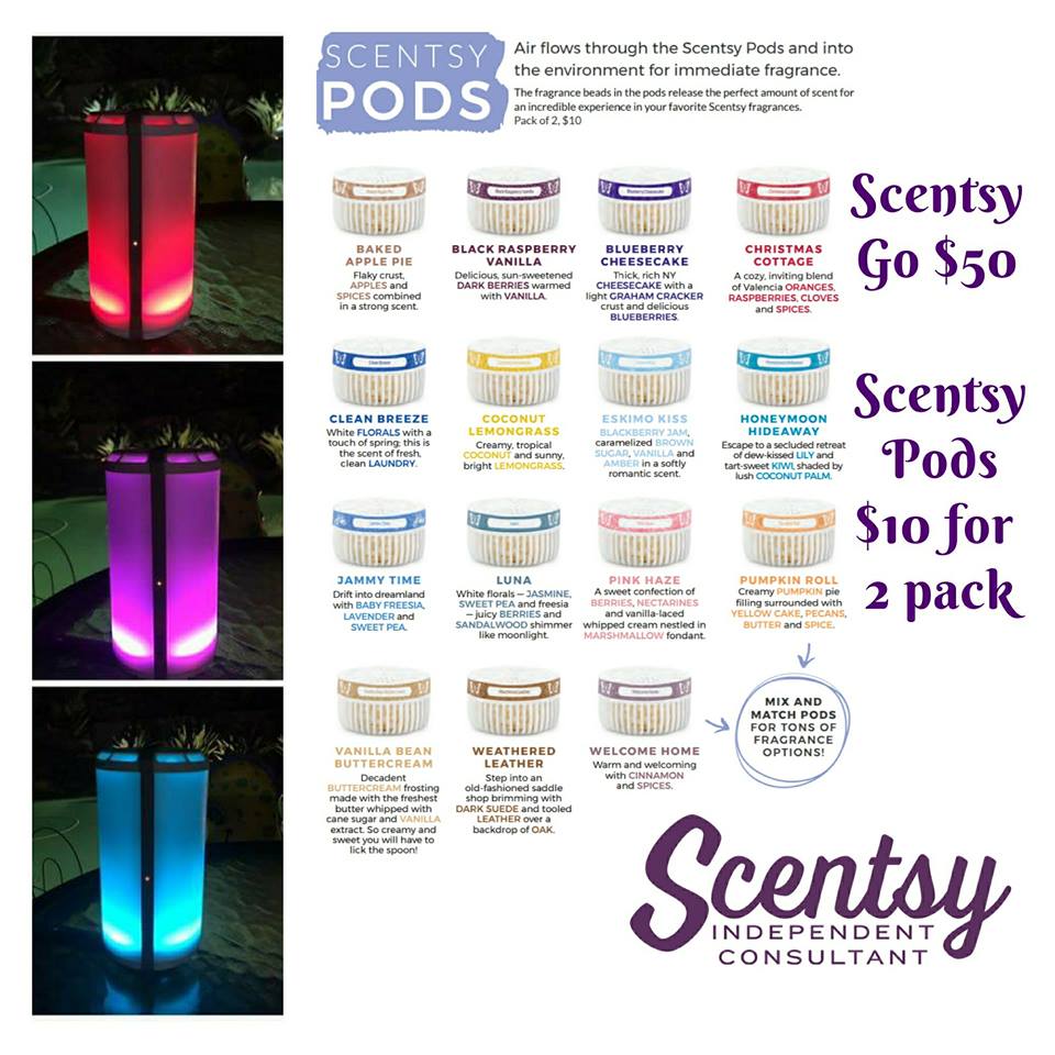 Scentsations San Antonio Have you seen the Scentsy Go?