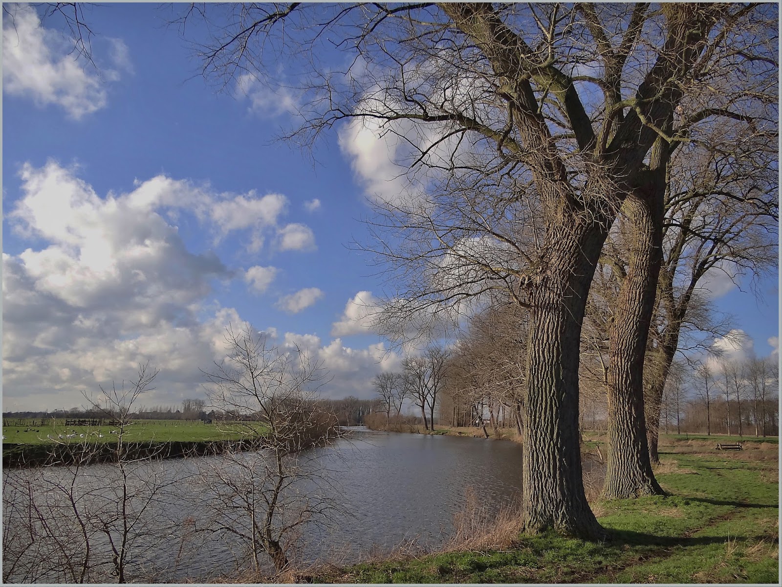 fotorantje: gedachten zijn als wolken
