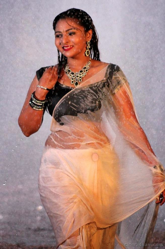 Hot Bgrade Actress In Wet Saree Hd Latest Tamil Actress Telugu Actress Movies Actor Images