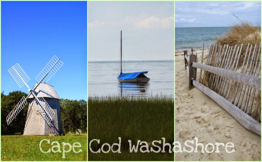 Cape Cod Washashore
