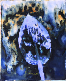 Wet cyanotype_Sue Reno_Image 484