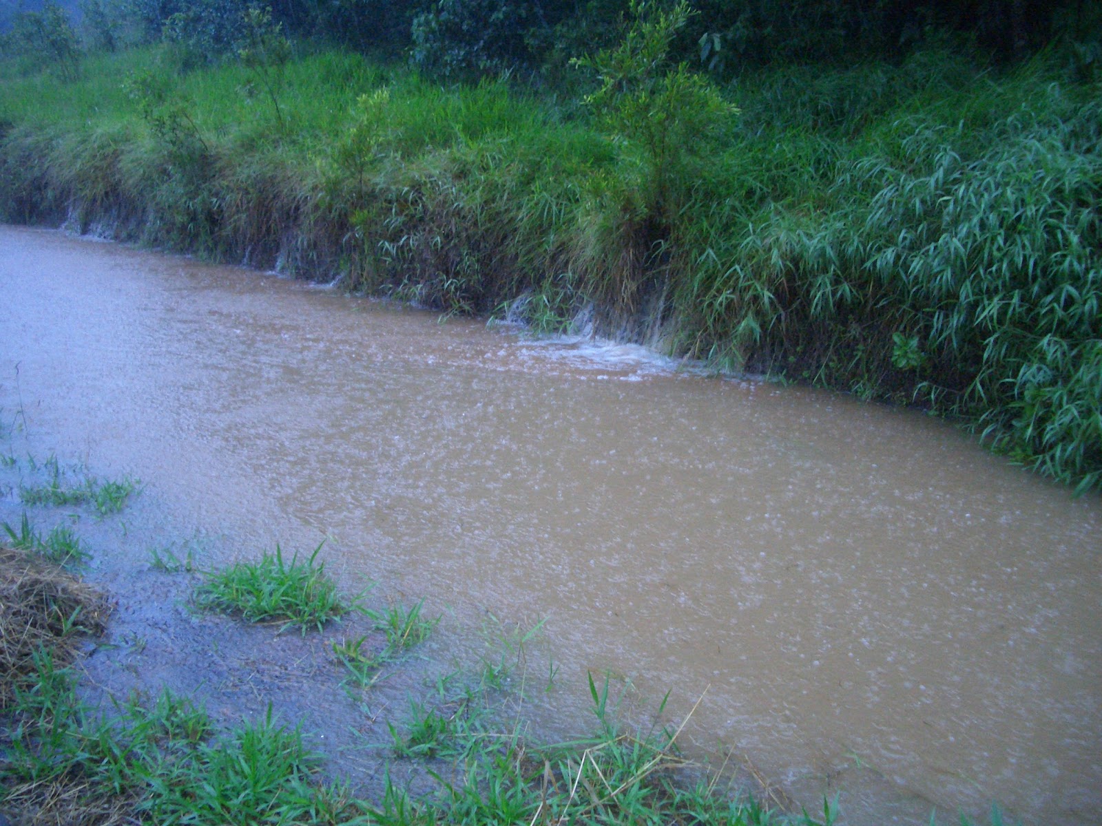 Water pouring into the swale from the bank