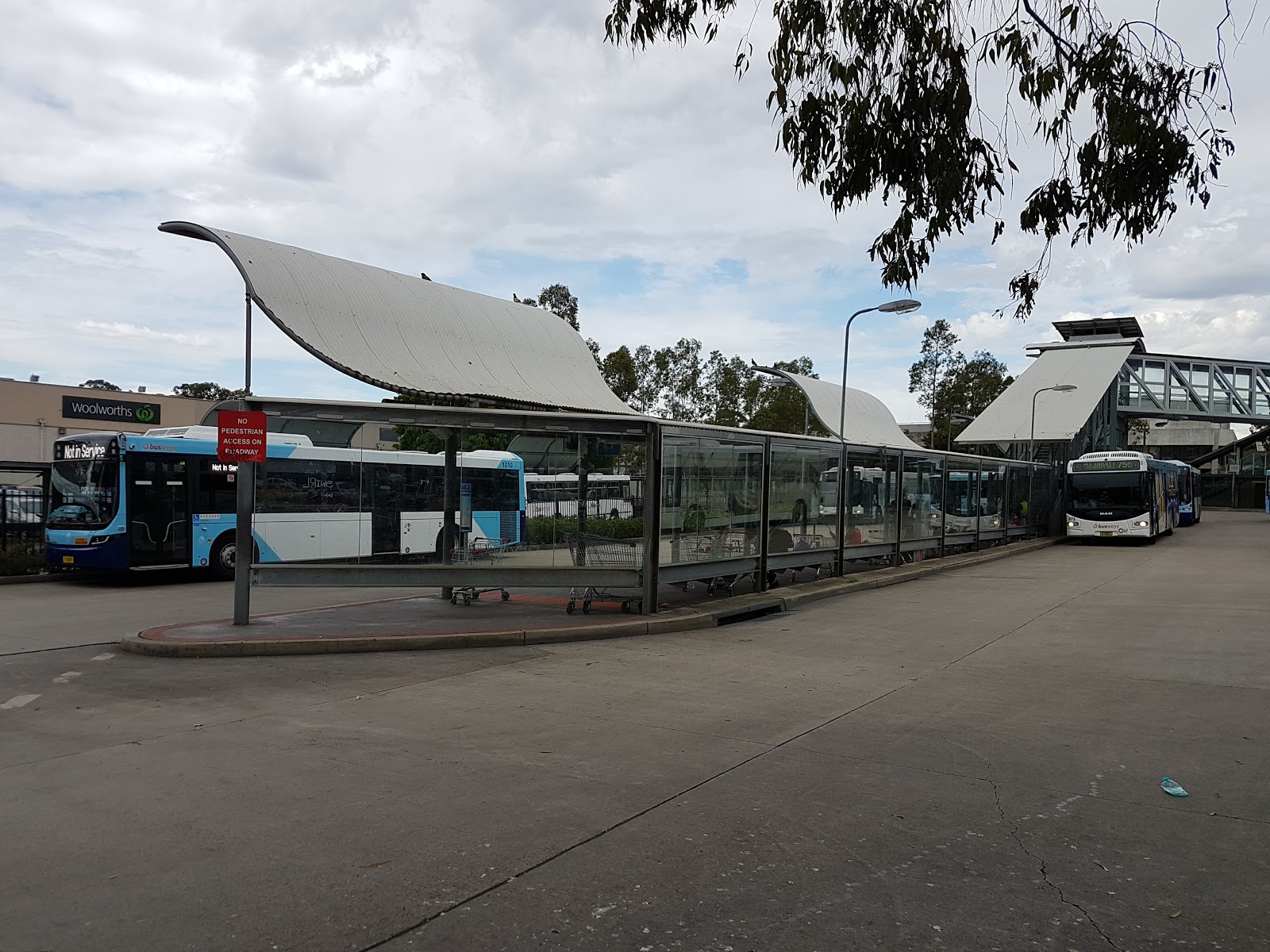 Why I Love Mount Druitt! New Route Display Lights For NSW Bus Region 1