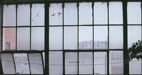 Dan Joseph - The Woolly Mammoth Tapes (1989) Dan Joseph - The Woolly Mammoth Tapes (1989)