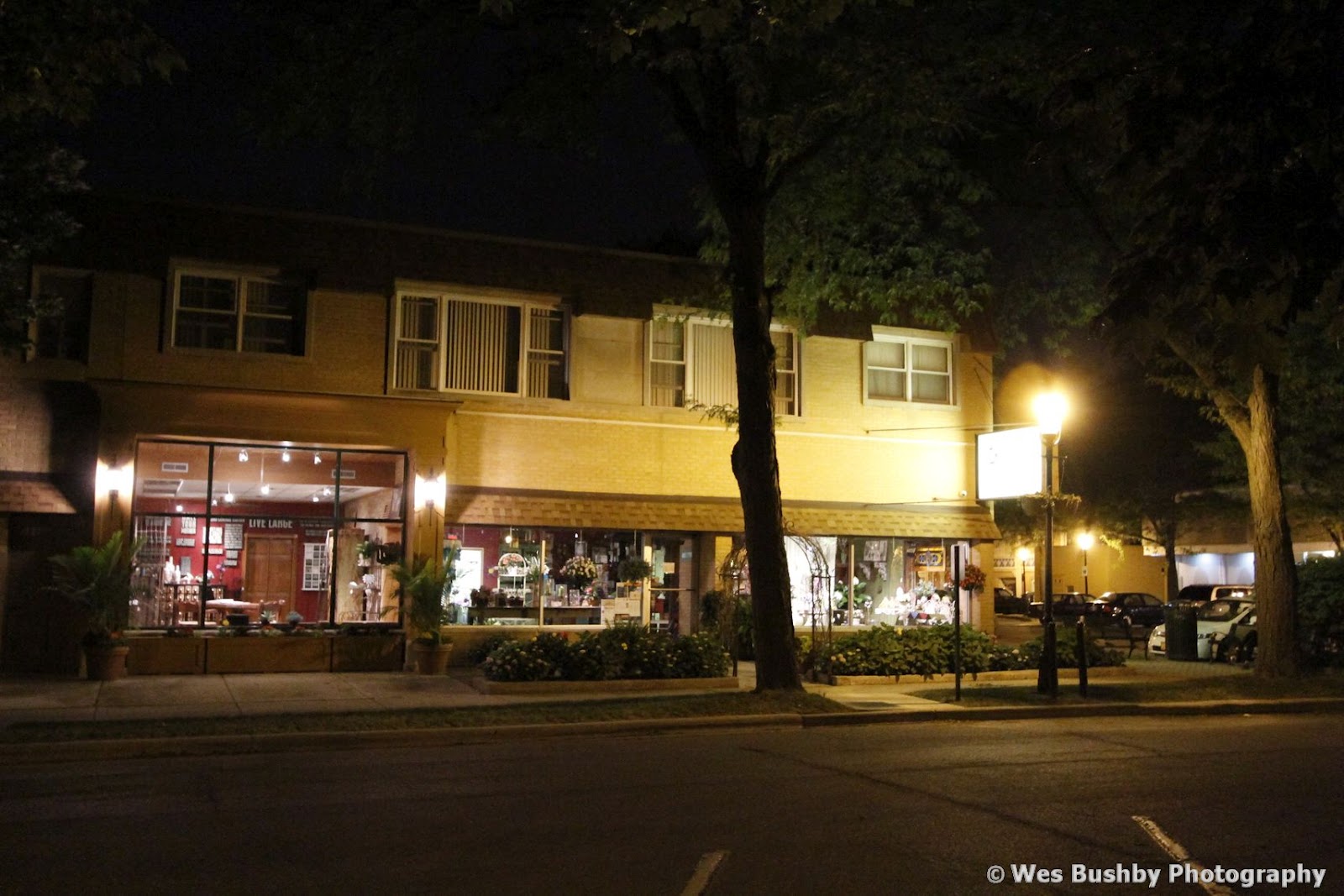 My NW Indiana and More Tin Ceiling Tavern Homewood IL