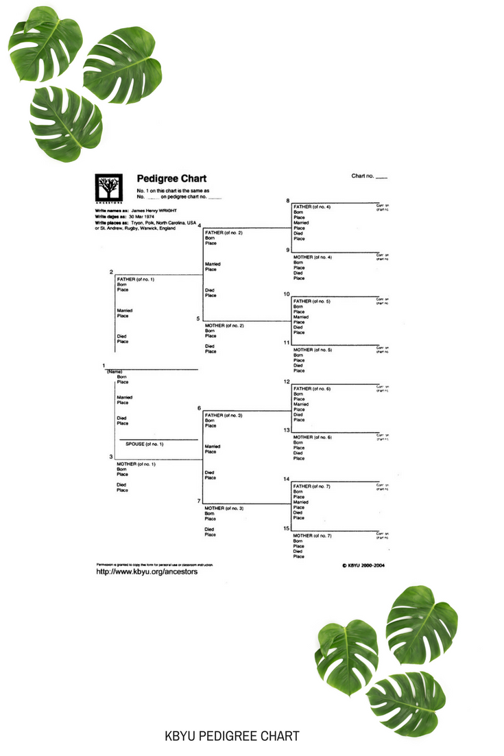 MOMMY BLOG EXPERT Free Family Tree Pedigree Charts Where To Get Them How To Fill In Your MOMMY BLOG EXPERT Free Family Tree Pedigree Charts Where To Get Them How To Fill In Your