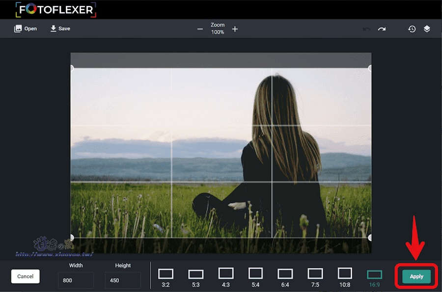 FotoFlexer 免費線上圖片編輯器
