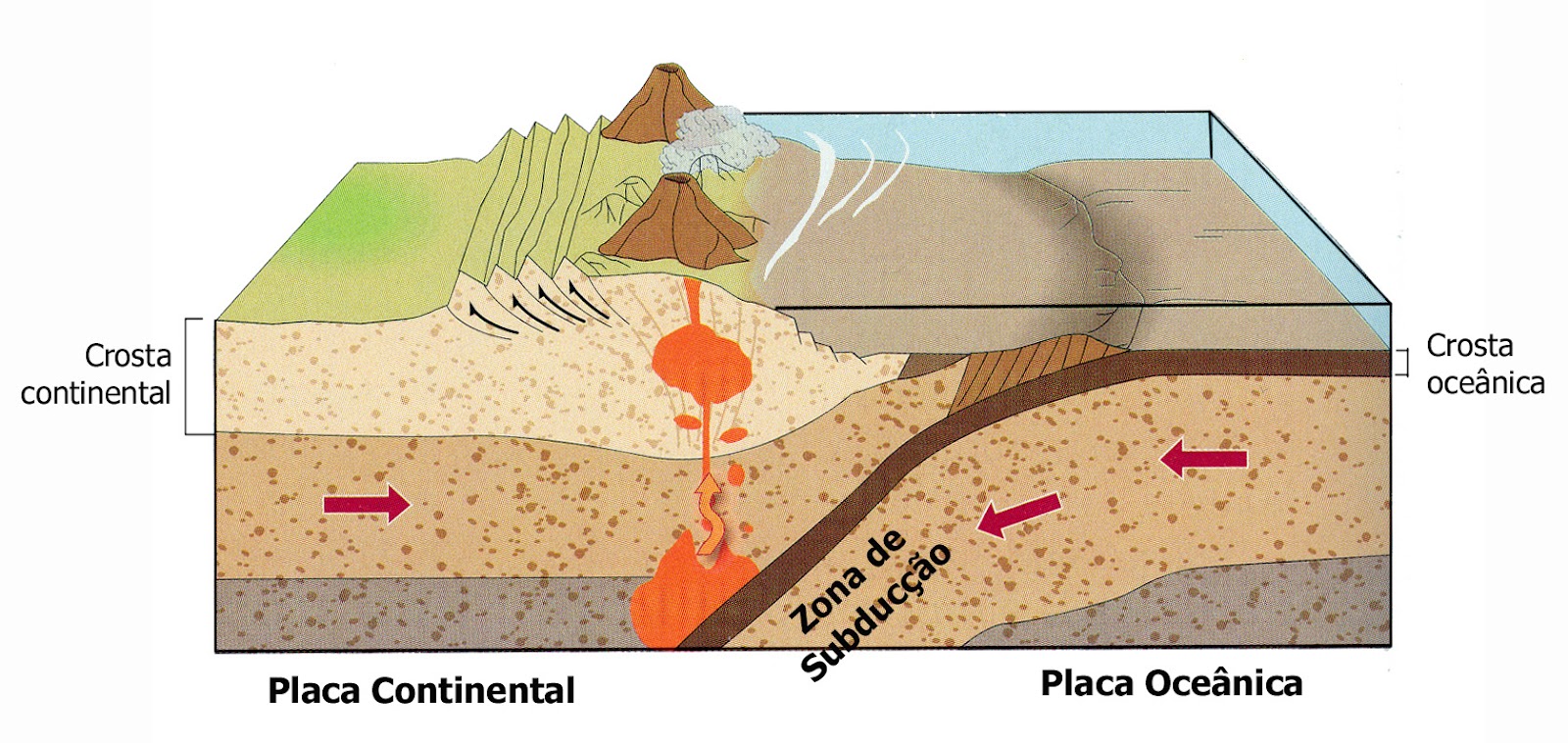 Geografia e Luta Estrutura de um