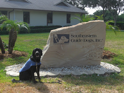 Picture of just Rudy in a sit-stay beside the guide dog sign