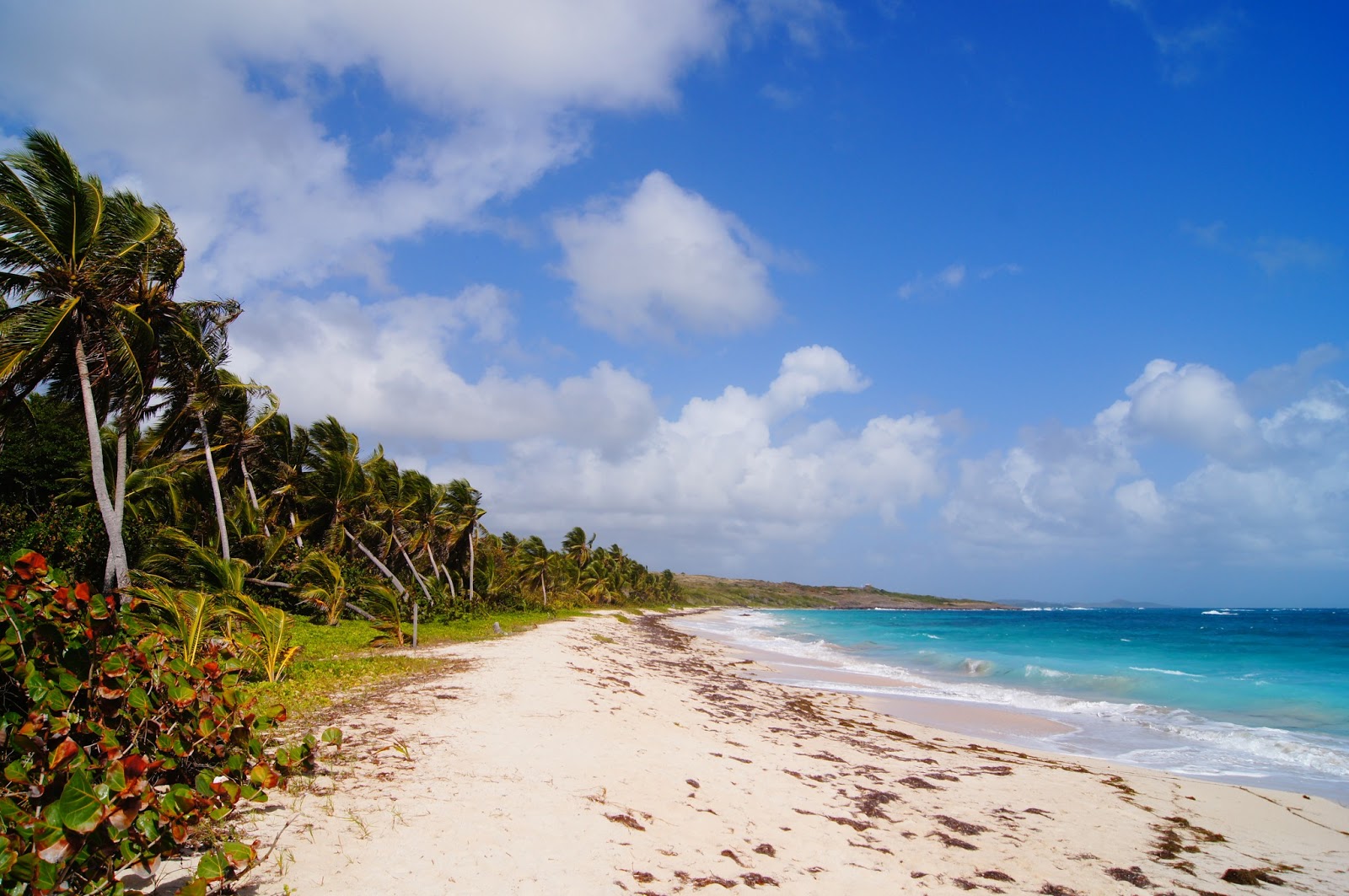 Пляжи мартиники