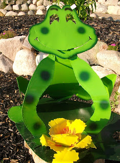 Michigan-made Freddy Frog