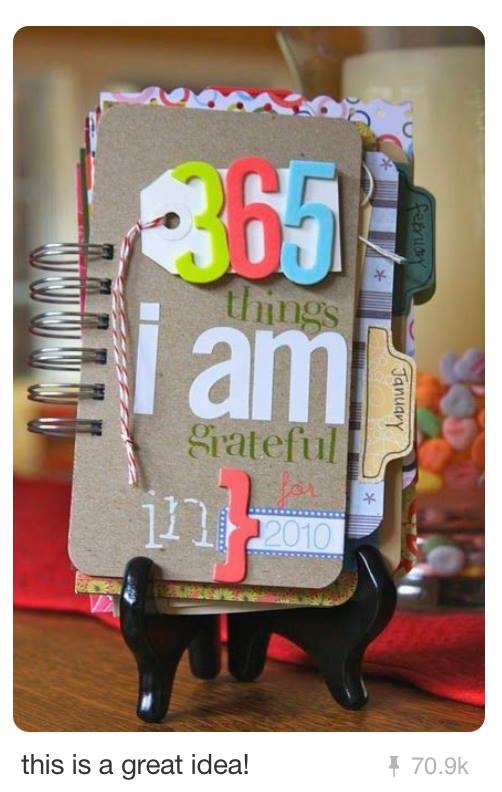 #gratitude #gratitude journal #grateful #journaling #thankful #thanfulness #Mindfulness #365 Things I Am Grateful For