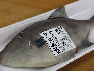 すべての花の画像 はげ 魚 種類