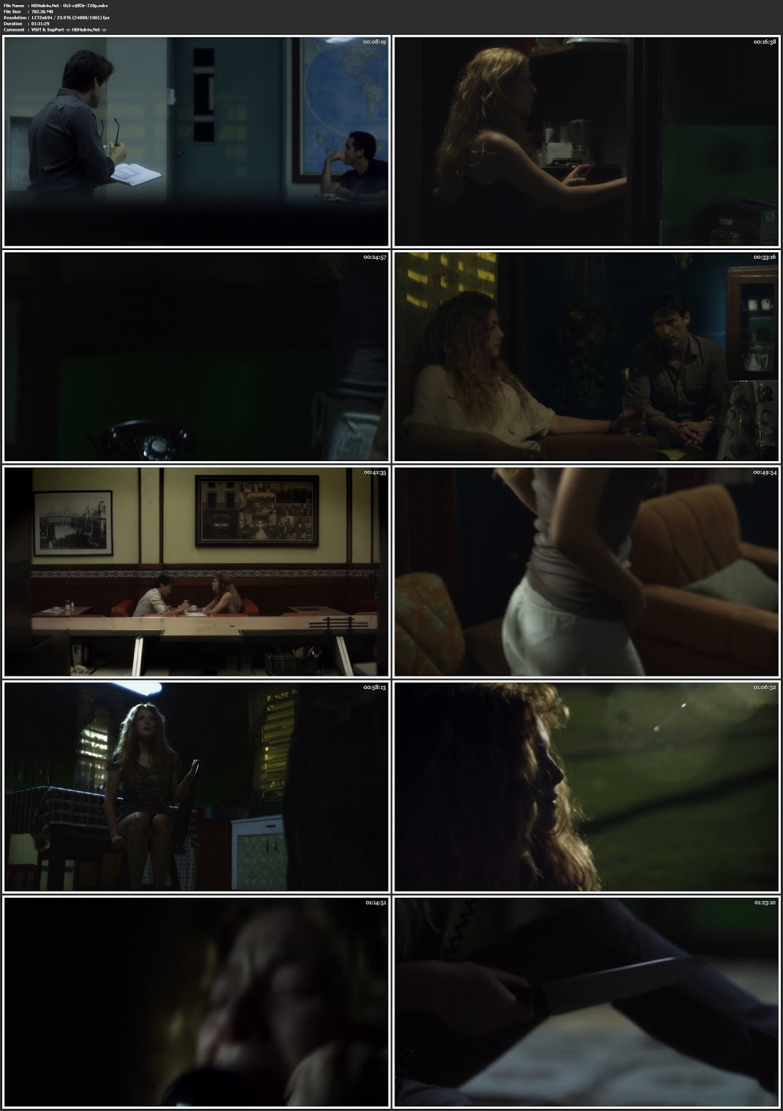 The Caller 2011 300MB Hindi Dual Audio 480p BluRay Download