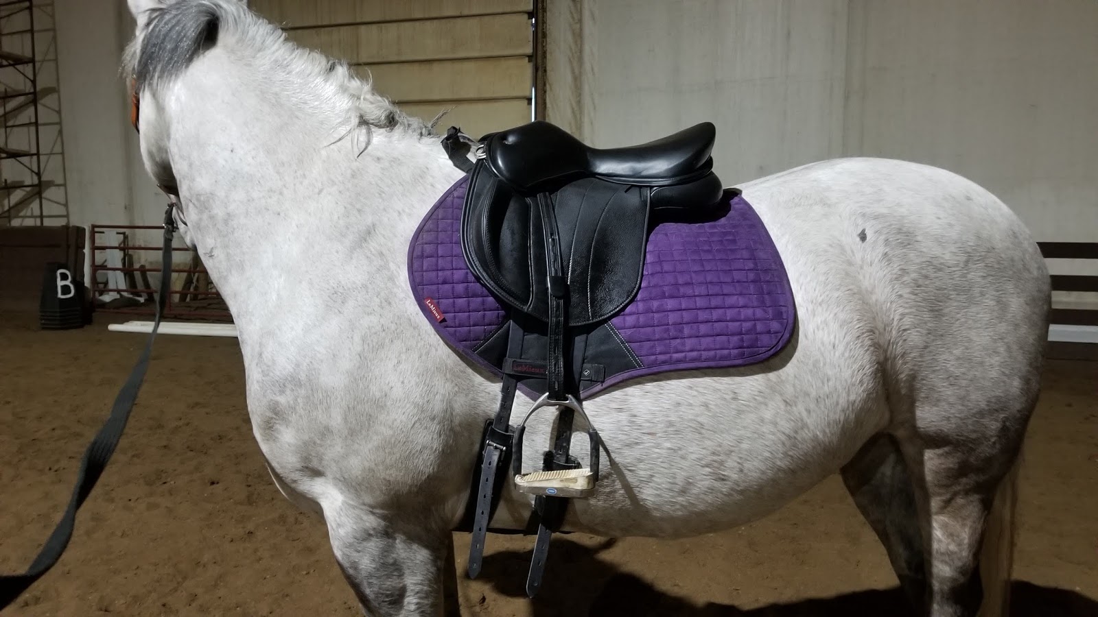 Gray Flannel Horses Wow HGirth