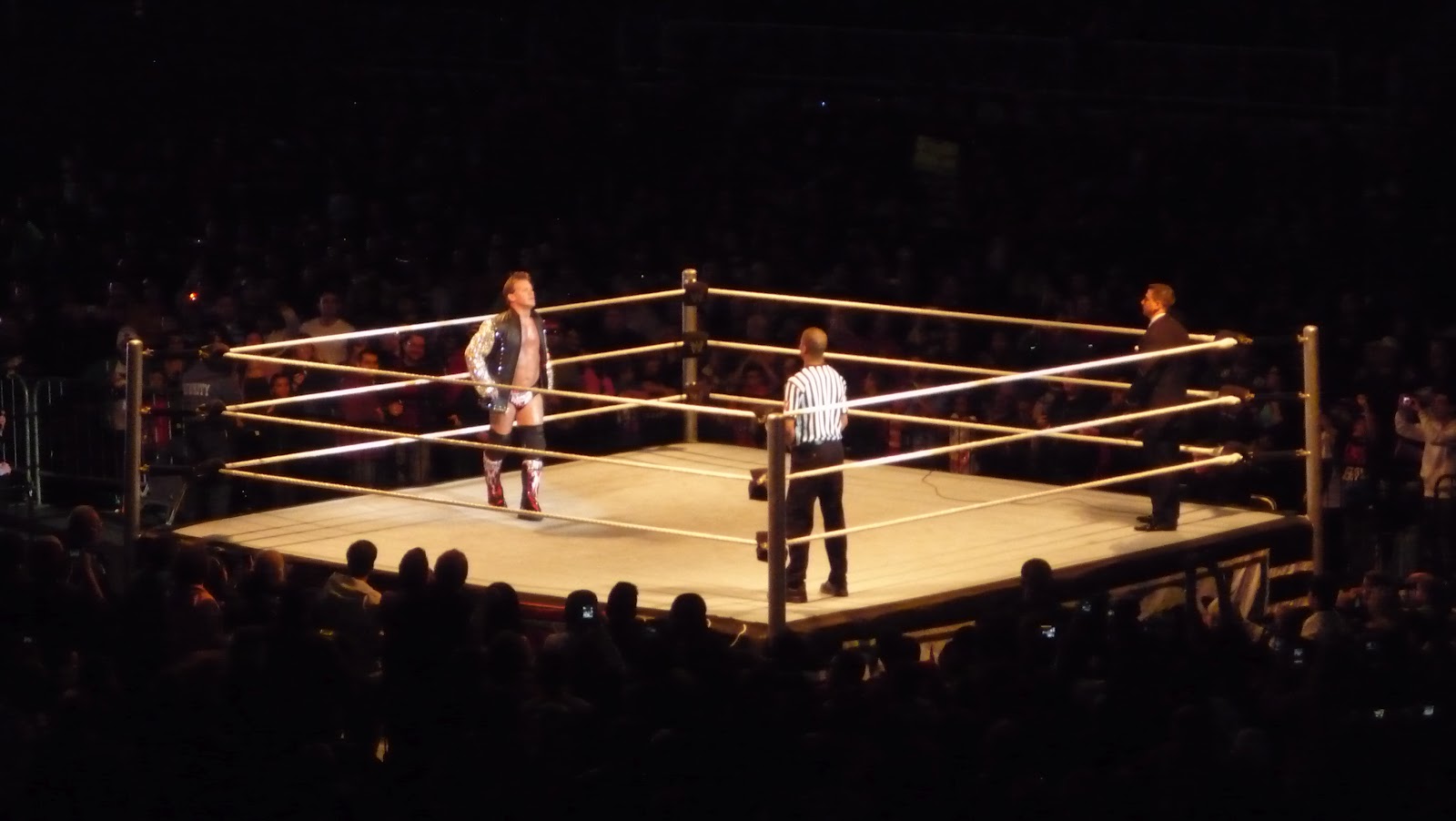 A Magpie Amongst The Beavers: WWE: Poetry In Motion