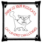 MY CATS ONLY CHALLENGE BLOG