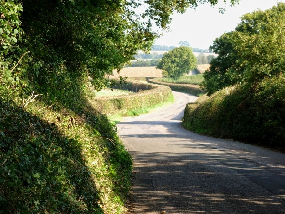 Woodbury Salterton Natural Environment Sunken lanes White Cross Road