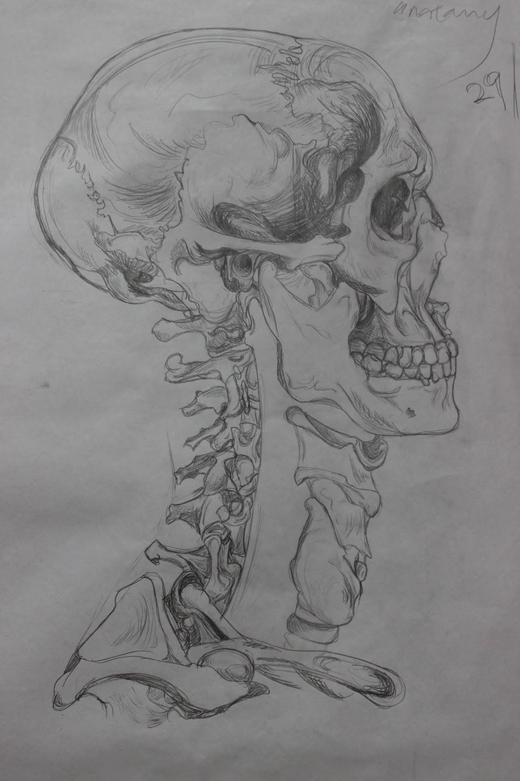 Voon Lyn's E-Portfolio/Blog: Drawing the human anatomy