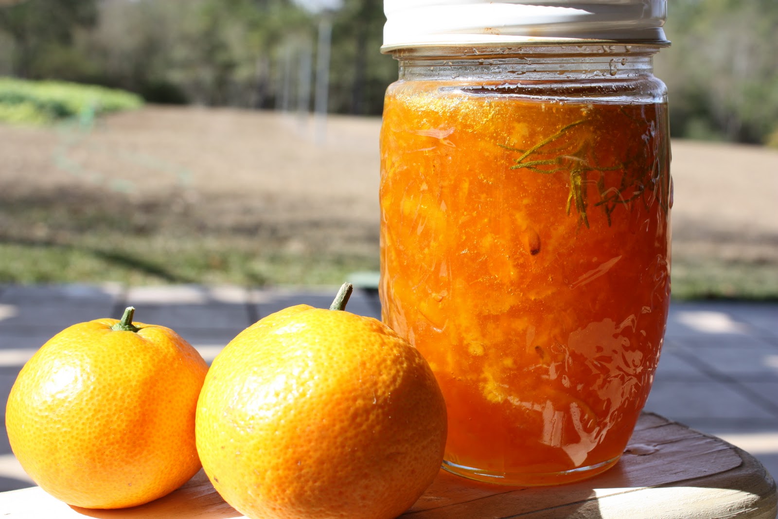 The Funky Clothespin Satsuma Season