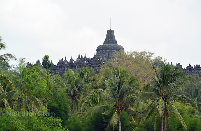 Berfoto dengan latar belakang Candi Borobudur