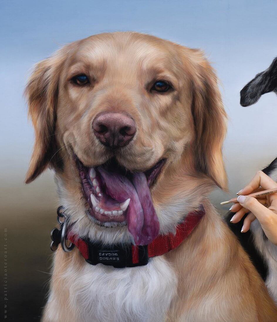 Design Stack A Blog about Art, Design and Architecture Cats and Dogs