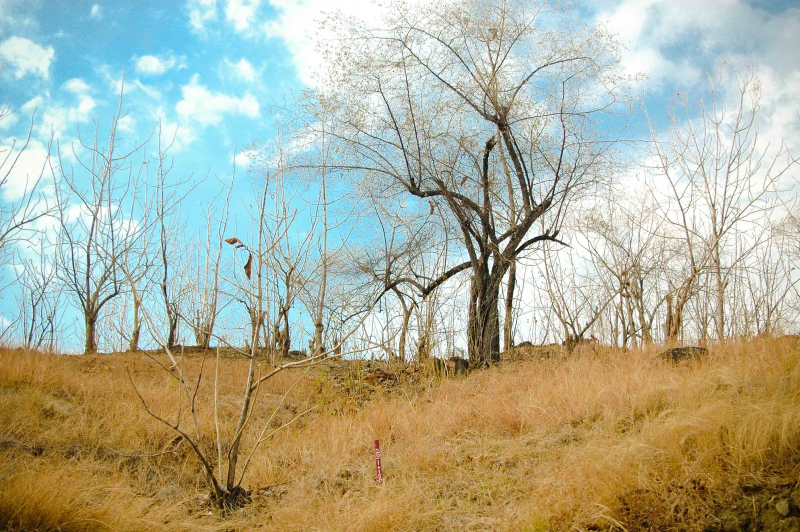 Tren Gaya 39+ Gambar Pemandangan Musim Hujan