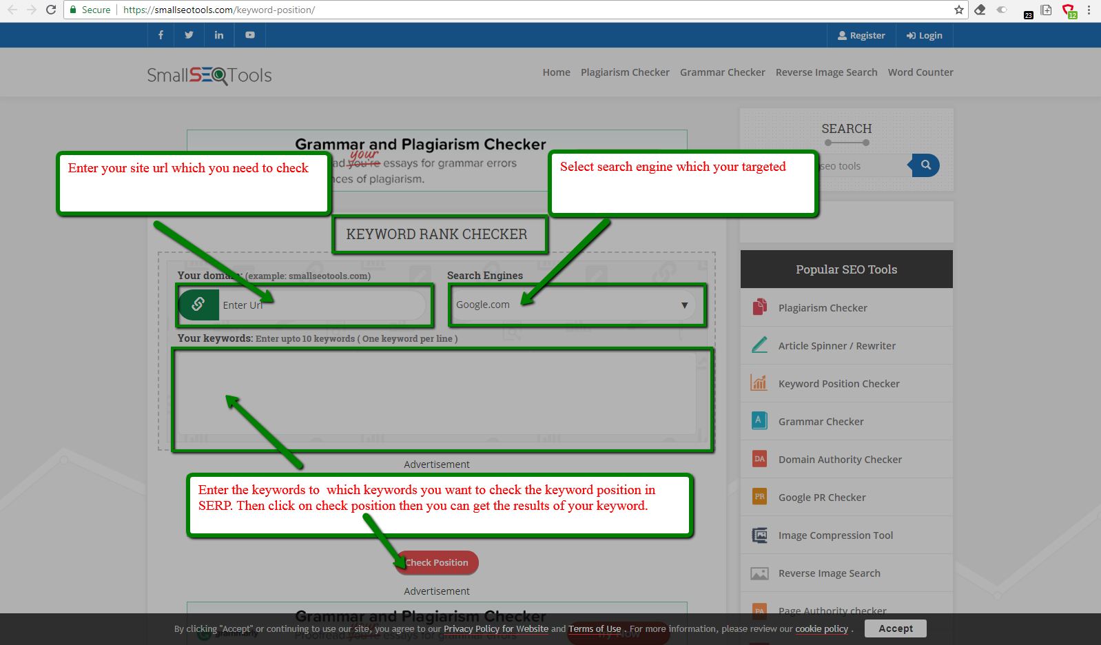 small seo tools rank checker