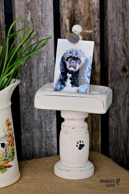 Vintage Playing Card Holder to Pet Photo Display #upcycle #repurpose #thriftshopmakeover #stencil #anniesloanchalkpaint