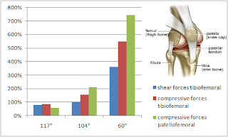 Cisaillement et compression durant l'exercice du squat