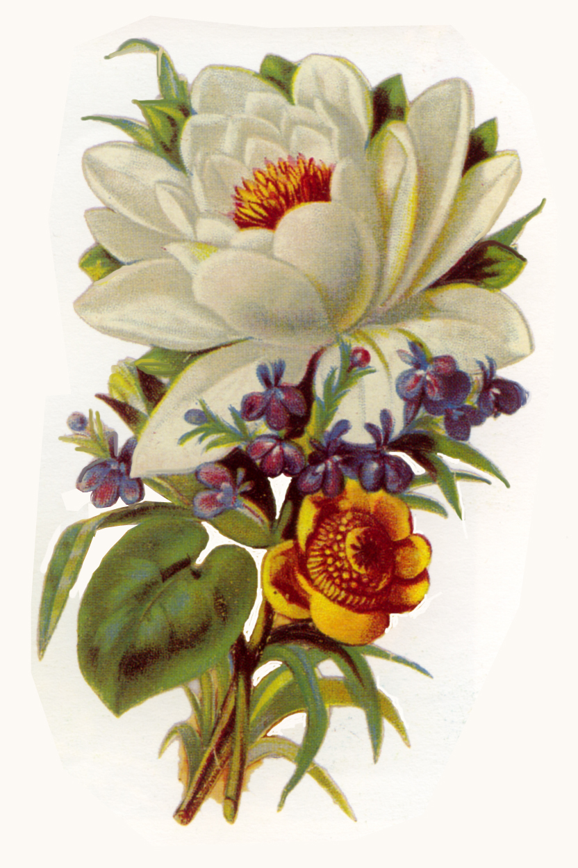 free clip art vintage flowers - photo #31