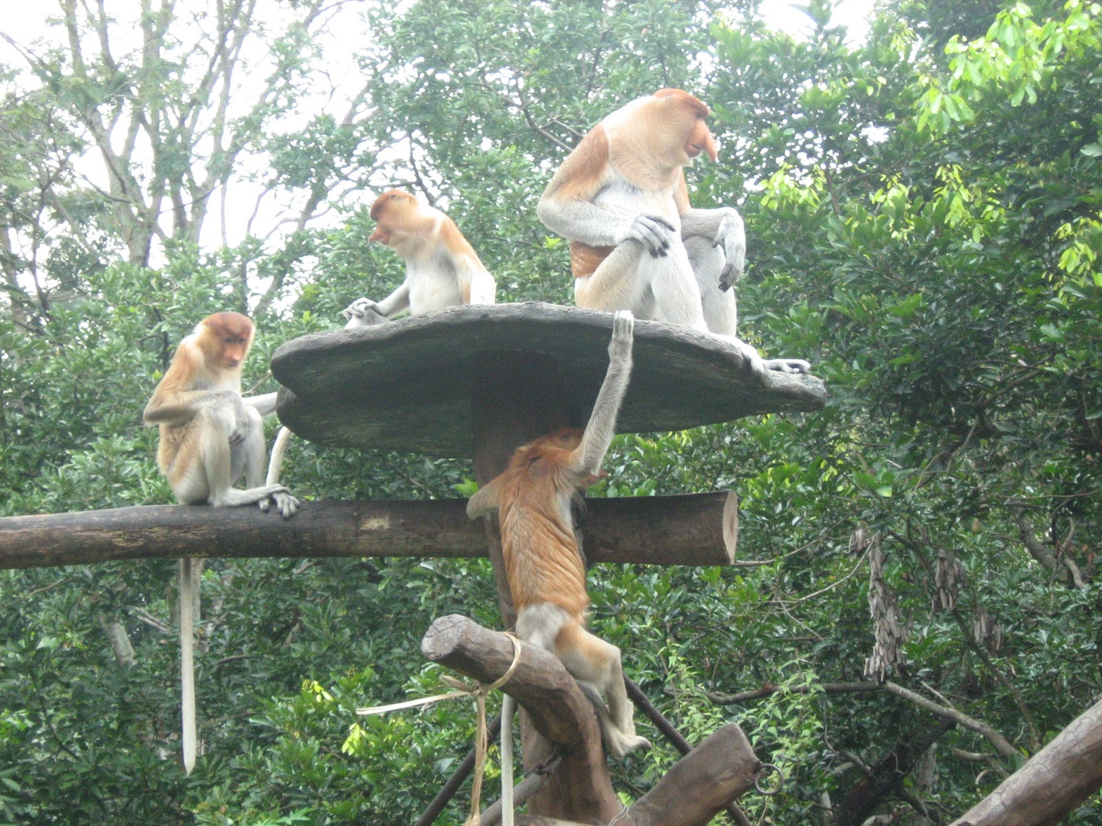 Taman Safari @ Malang, Jatim. | JAF Picture