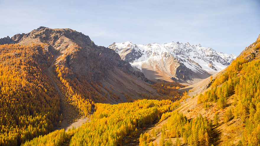 La%2BClar%25C3%25A9e%2B..The%2BAmazing%2